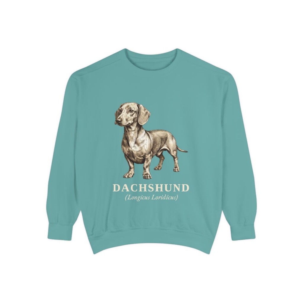 Dachshund Latin Sweatshirt, Seafoam, front view