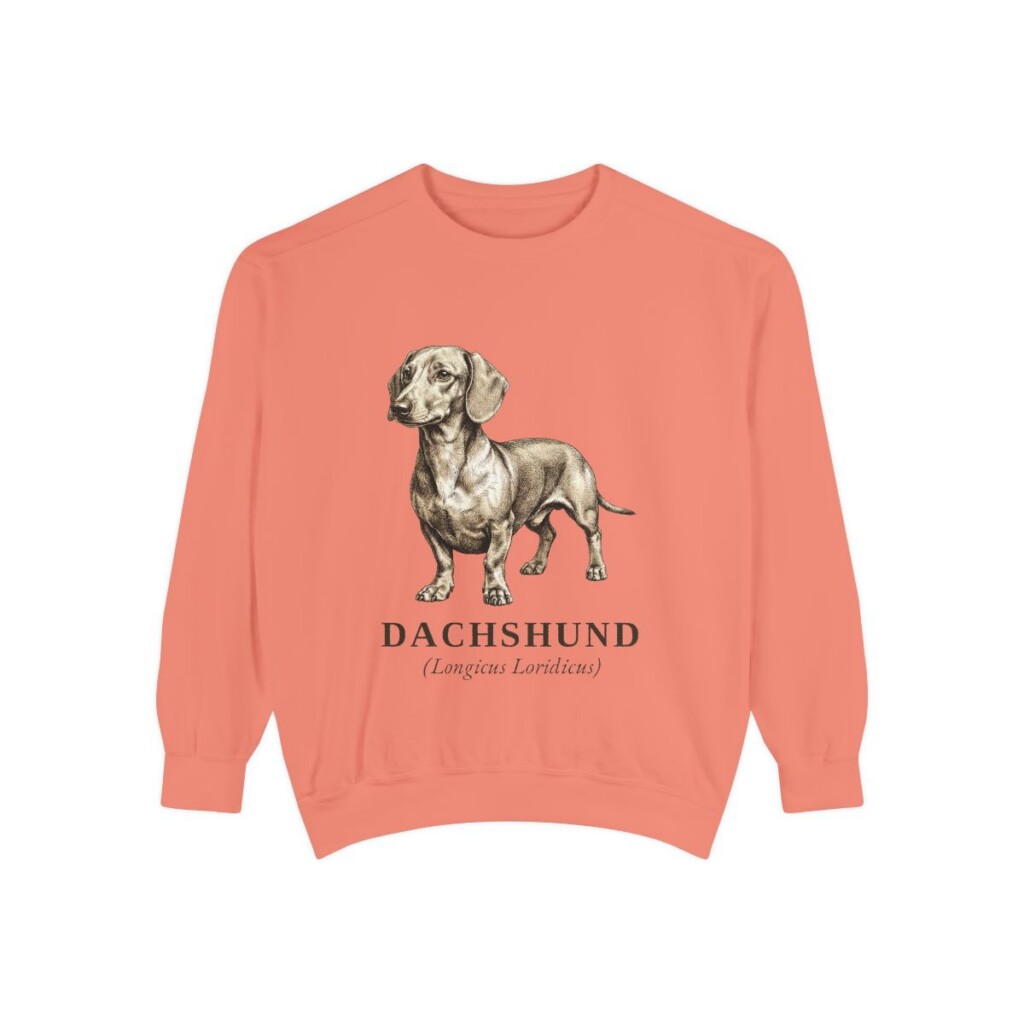 Dachshund Latin Sweatshirt, Terracotta, front view