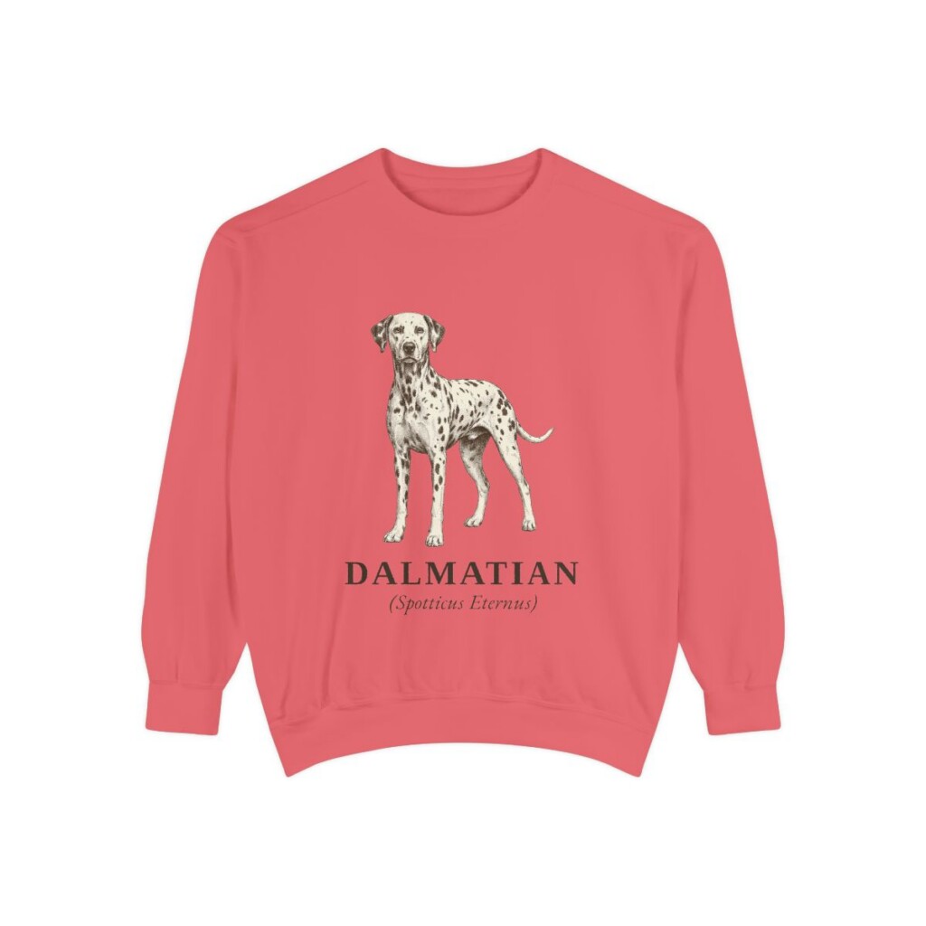 Dalmatian Latin Sweatshirt, Watermelon, front view