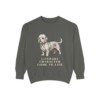 Dandie Dinmont Terrier Humor Sweatshirt, Pepper, front view