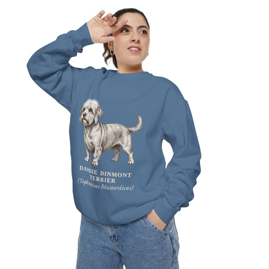 Dandie Dinmont Terrier Latin Sweatshirt, Blue Jean, person 2 context