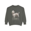 Dandie Dinmont Terrier Latin Sweatshirt, Pepper, front view