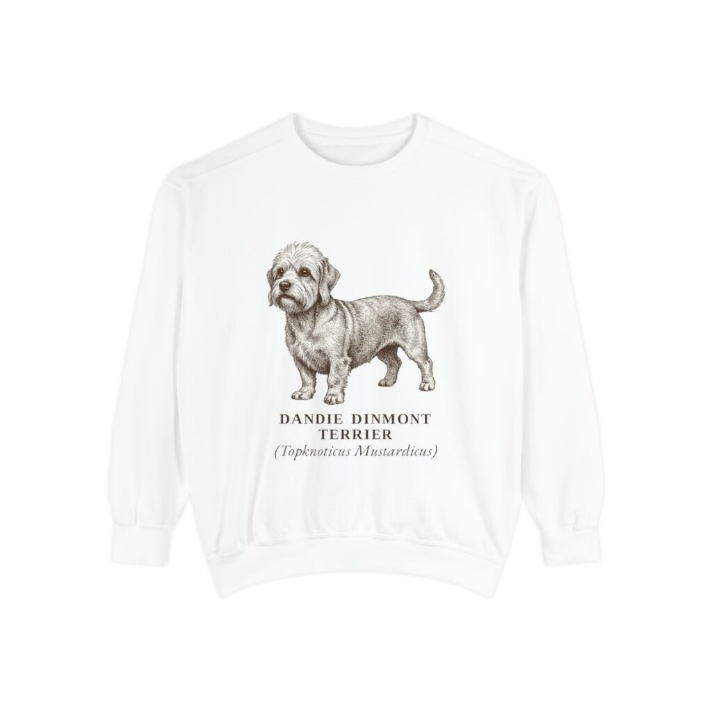 Dandie Dinmont Terrier Latin Sweatshirt, White, front view