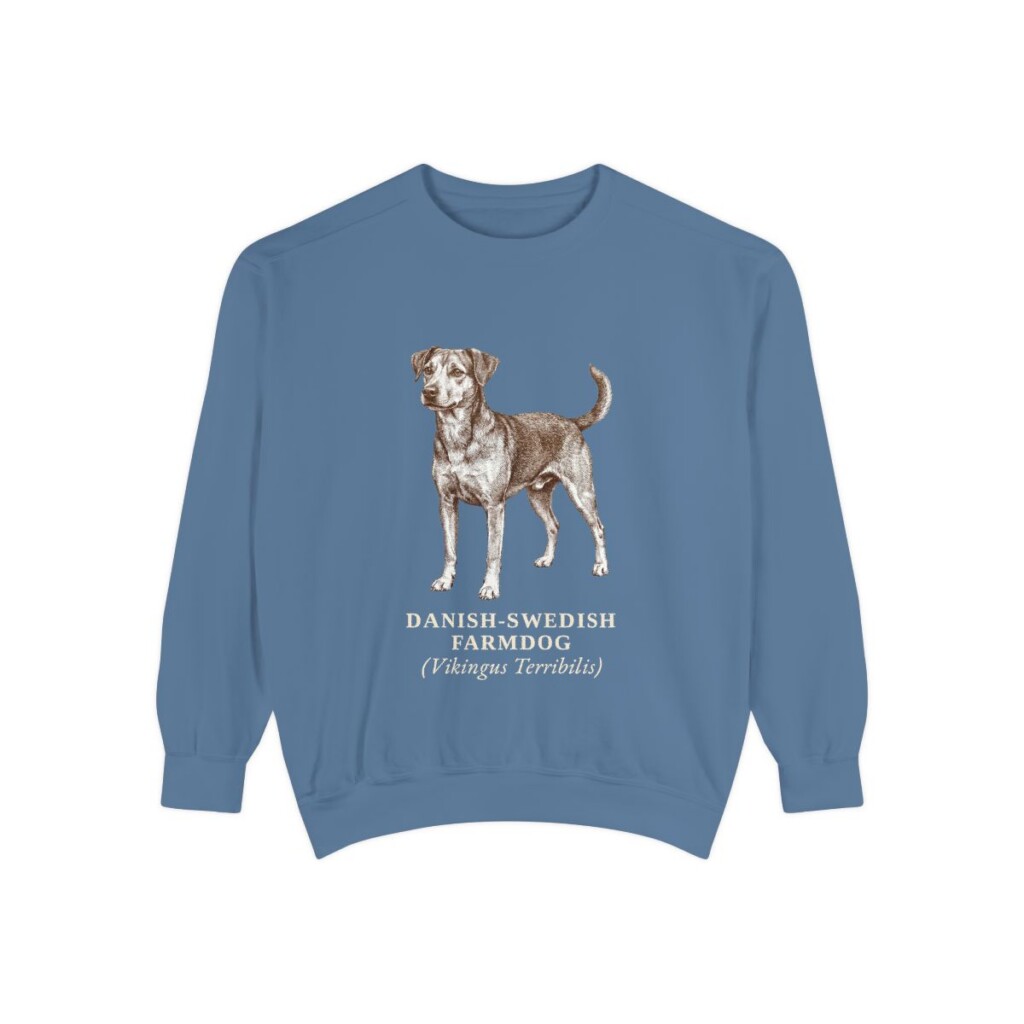 danish-swedish-farmdog-sweatshirt-latin-blue-jean Danish-Swedish Farmdog Latin Sweatshirt, Blue Jean, front view