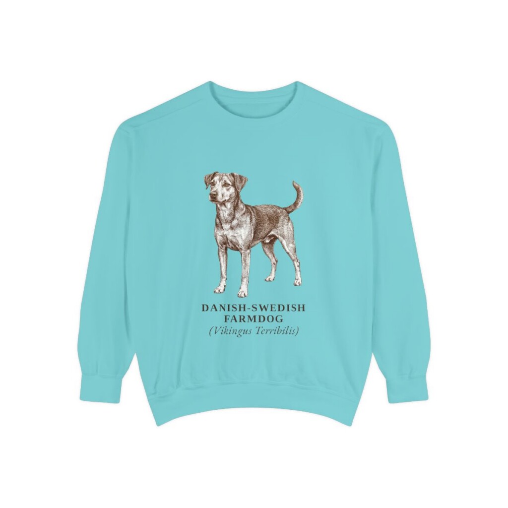 danish-swedish-farmdog-sweatshirt-latin-chalky-mint Danish-Swedish Farmdog Latin Sweatshirt, Chalky Mint, front view
