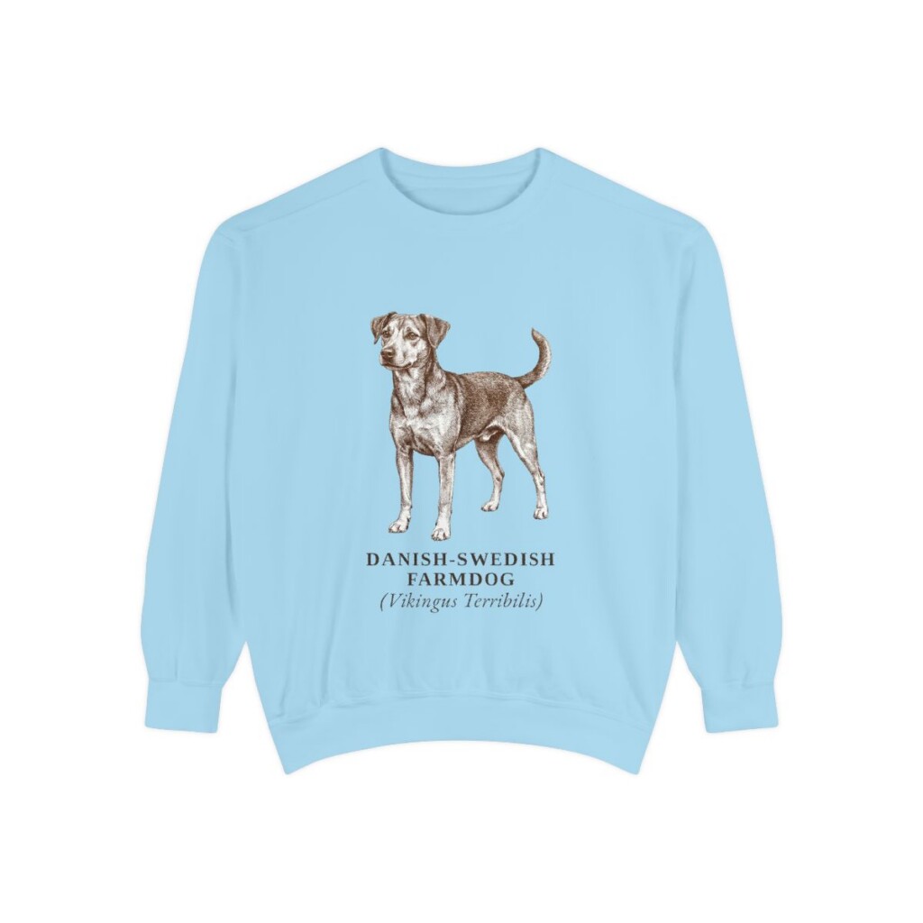 danish-swedish-farmdog-sweatshirt-latin-chambray Danish-Swedish Farmdog Latin Sweatshirt, Chambray, front view