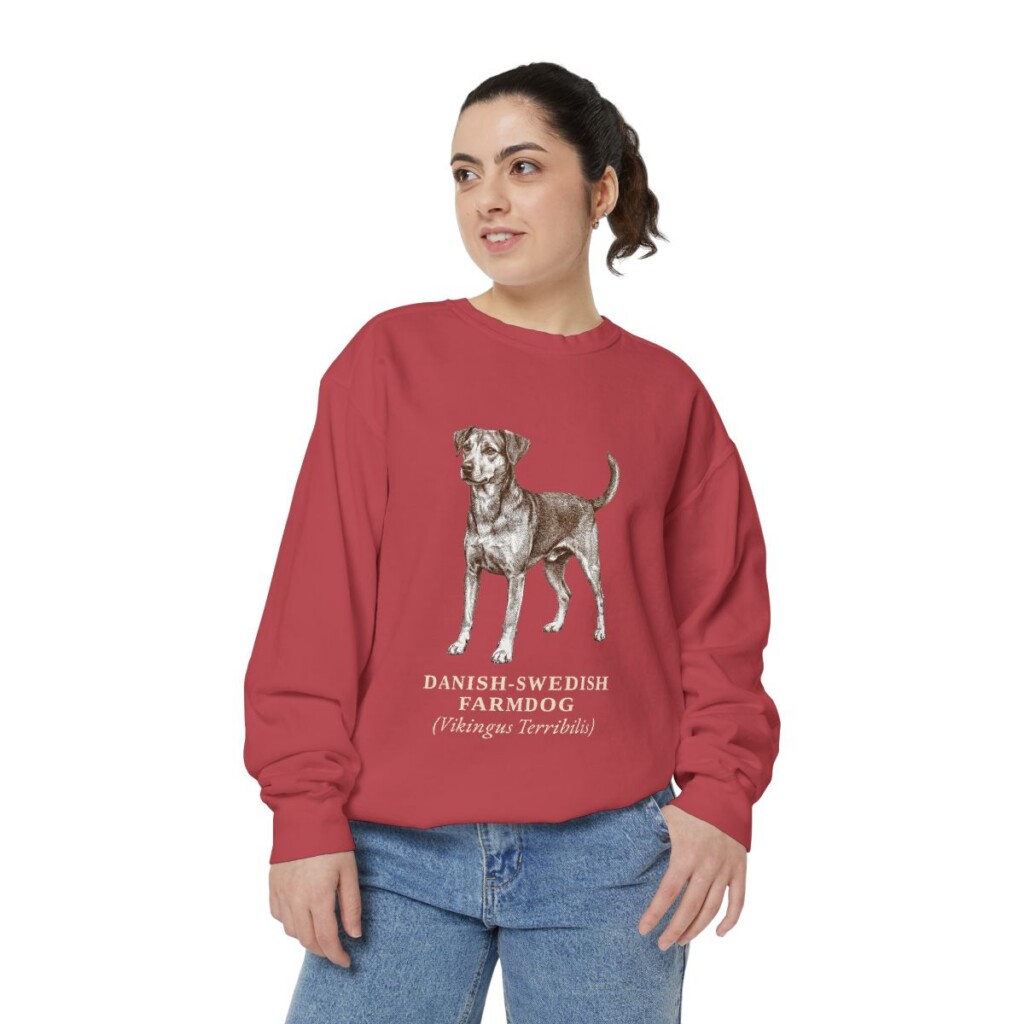 danish-swedish-farmdog-sweatshirt-latin-crimson-person-2-front Danish-Swedish Farmdog Latin Sweatshirt, Crimson, person 2 front