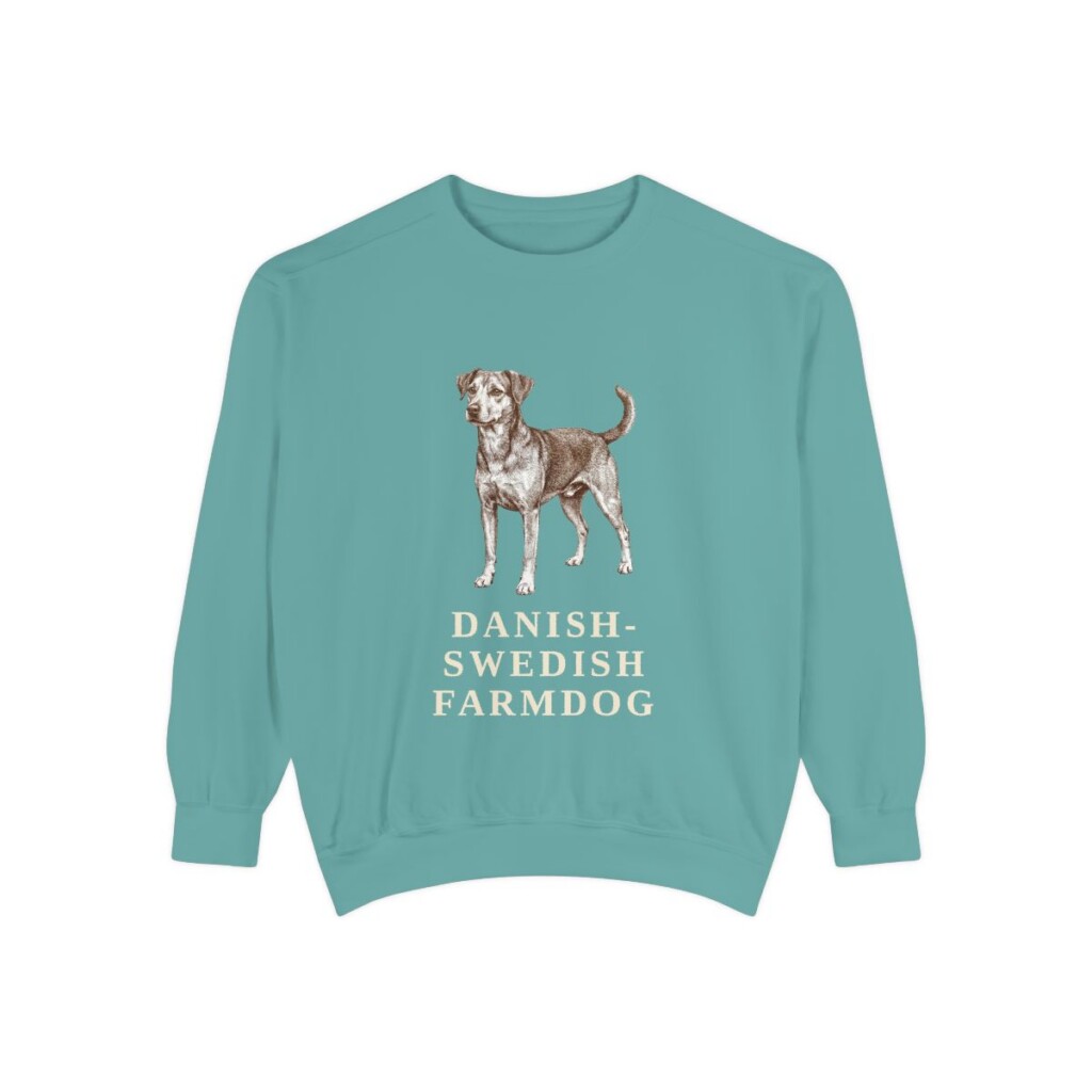 Danish-Swedish Farmdog Sweatshirt, Seafoam, front view