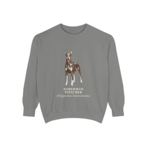 Doberman Pinscher Latin Sweatshirt, Grey, front view