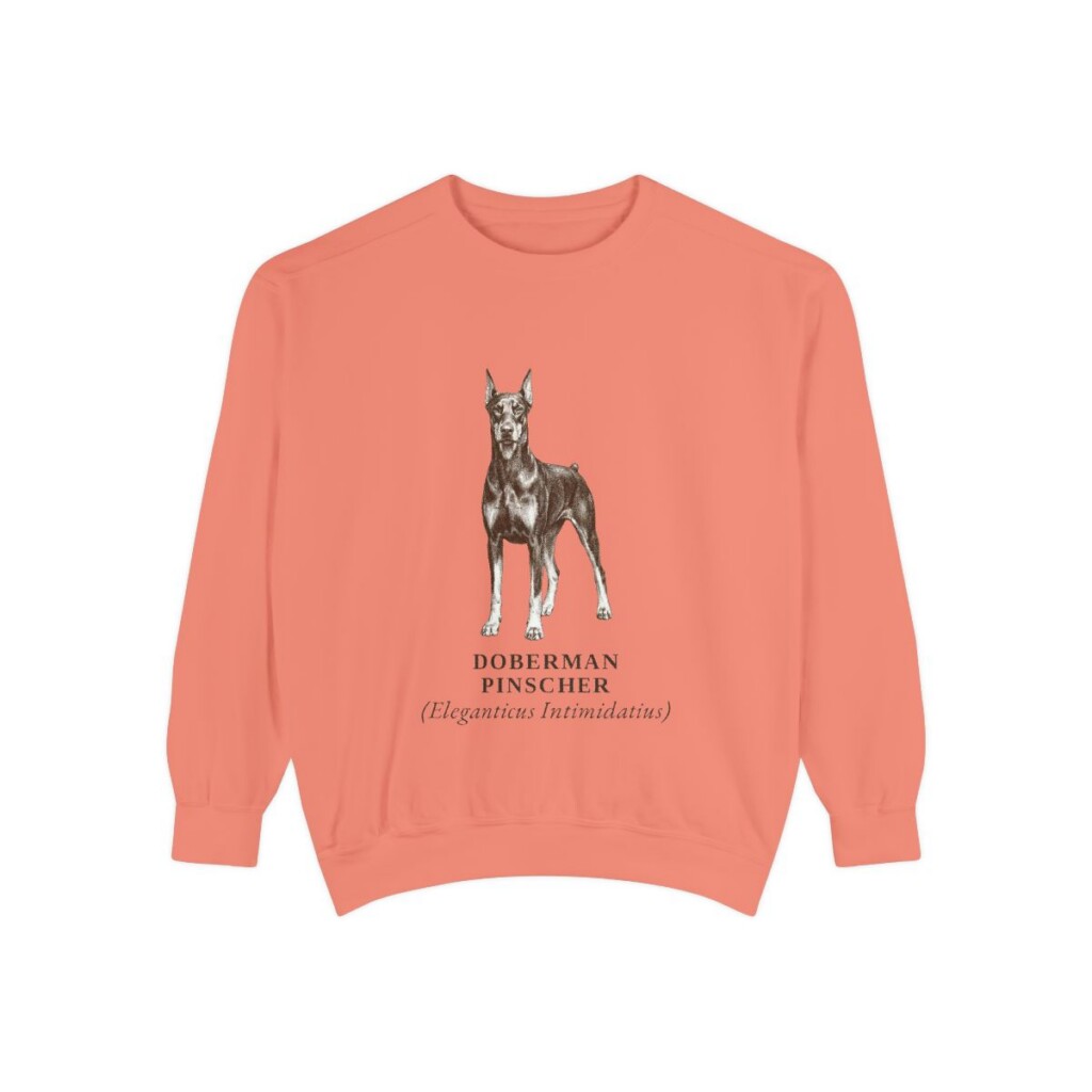doberman-pinscher-sweatshirt-latin-terracotta Doberman Pinscher Latin Sweatshirt, Terracotta, front view