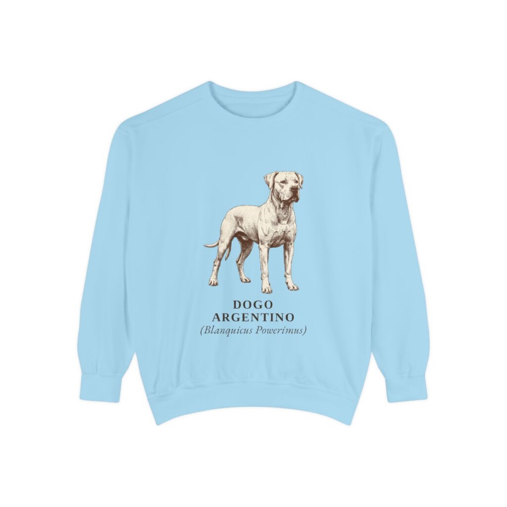 Dogo Argentino Latin Sweatshirt, Chambray, front view
