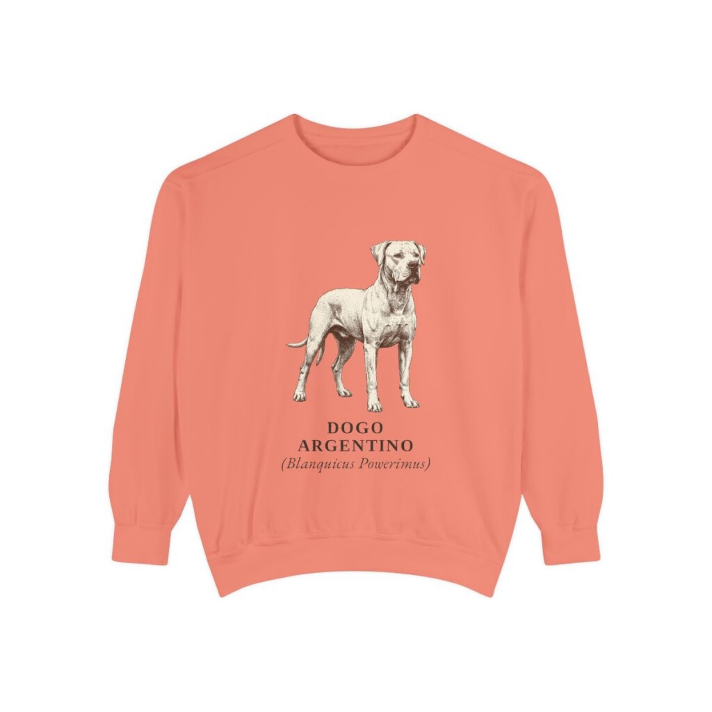 Dogo Argentino Latin Sweatshirt, Terracotta, front view
