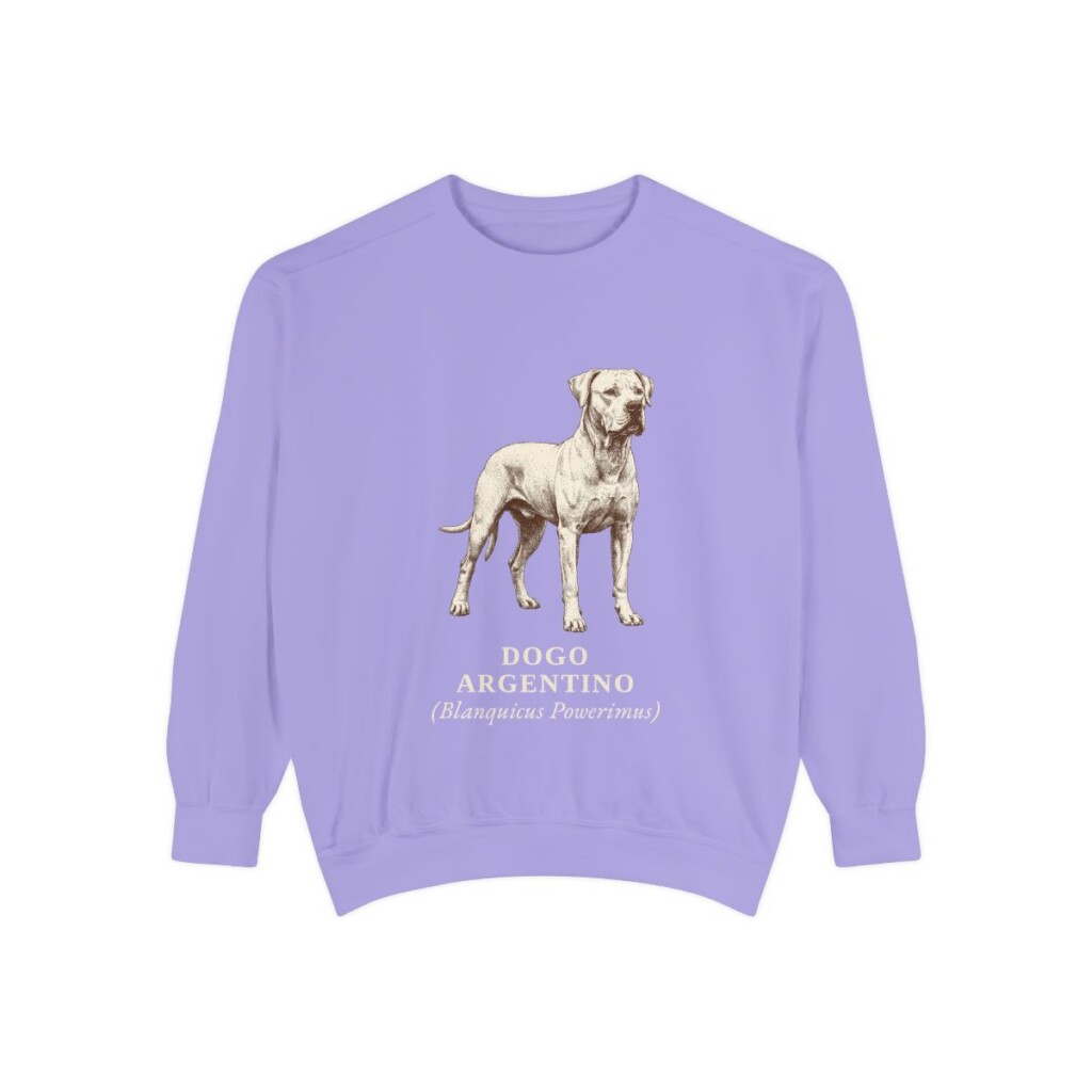 Dogo Argentino Latin Sweatshirt, Violet, front view
