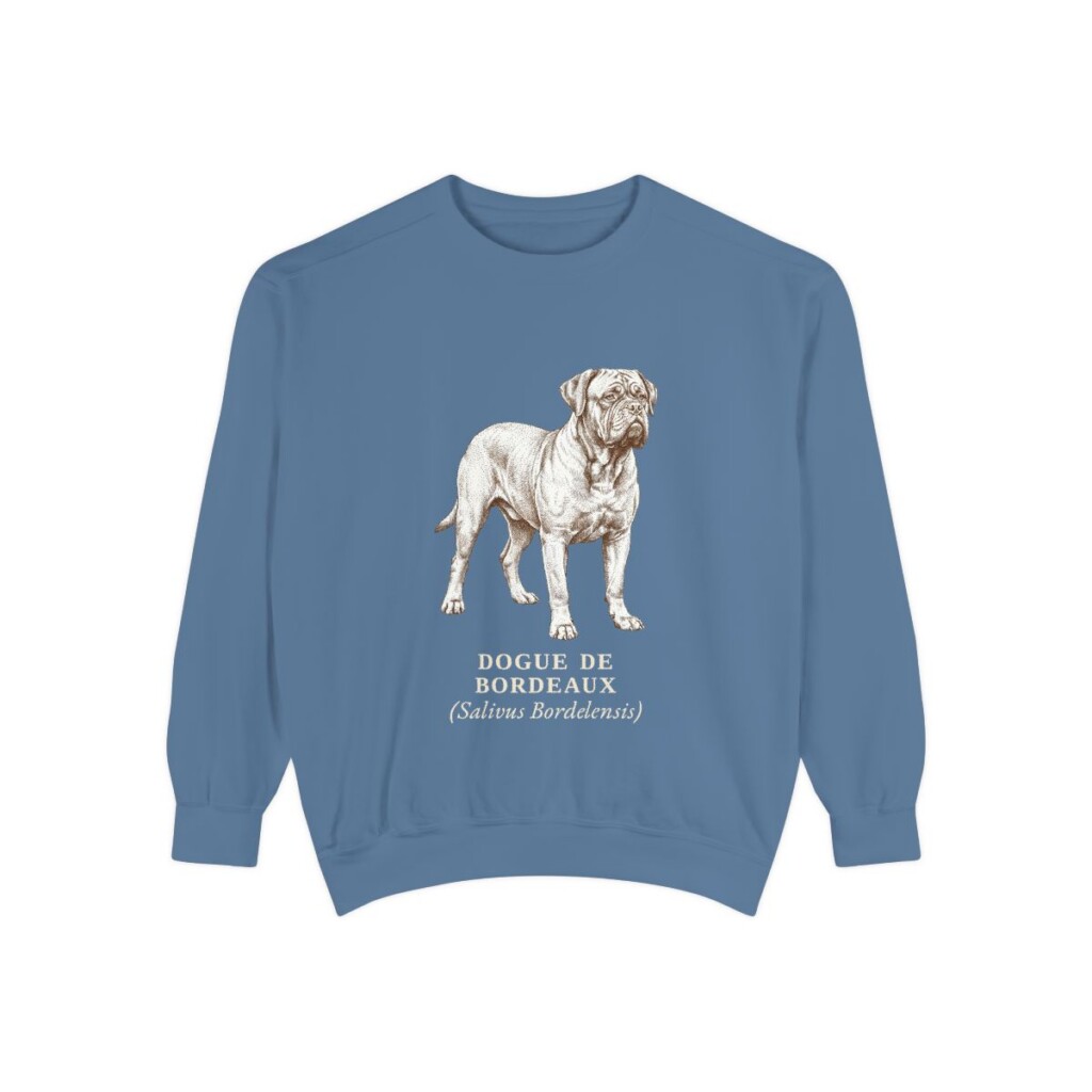dogue-de-bordeaux-sweatshirt-latin-blue-jean Dogue de Bordeaux Latin Sweatshirt, Blue Jean, front view
