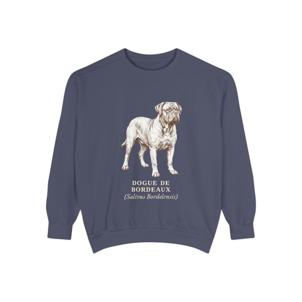 dogue-de-bordeaux-sweatshirt-latin-denim Dogue de Bordeaux Latin Sweatshirt, Denim, front view