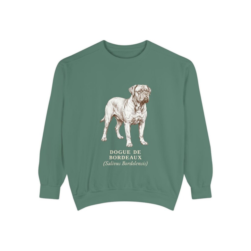dogue-de-bordeaux-sweatshirt-latin-light-green Dogue de Bordeaux Latin Sweatshirt, Light Green, front view