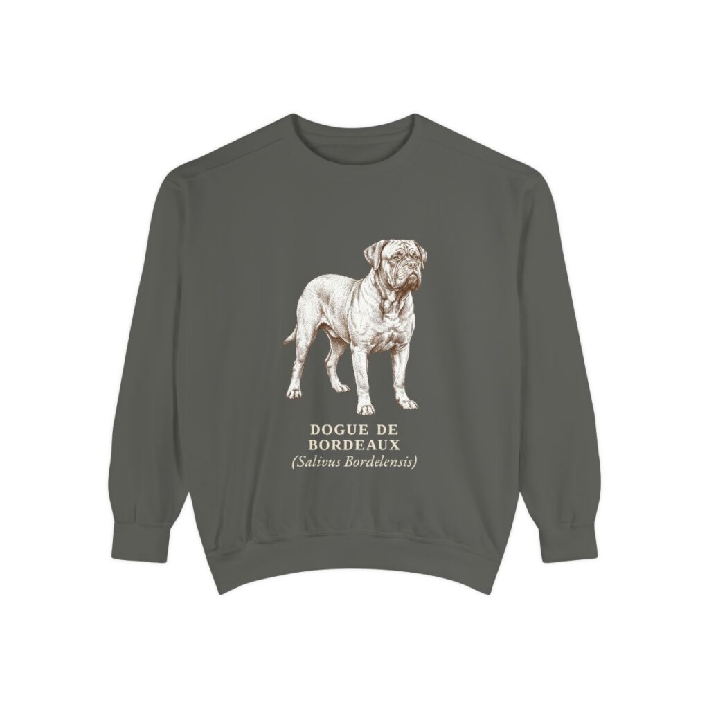 dogue-de-bordeaux-sweatshirt-latin-pepper Dogue de Bordeaux Latin Sweatshirt, Pepper, front view
