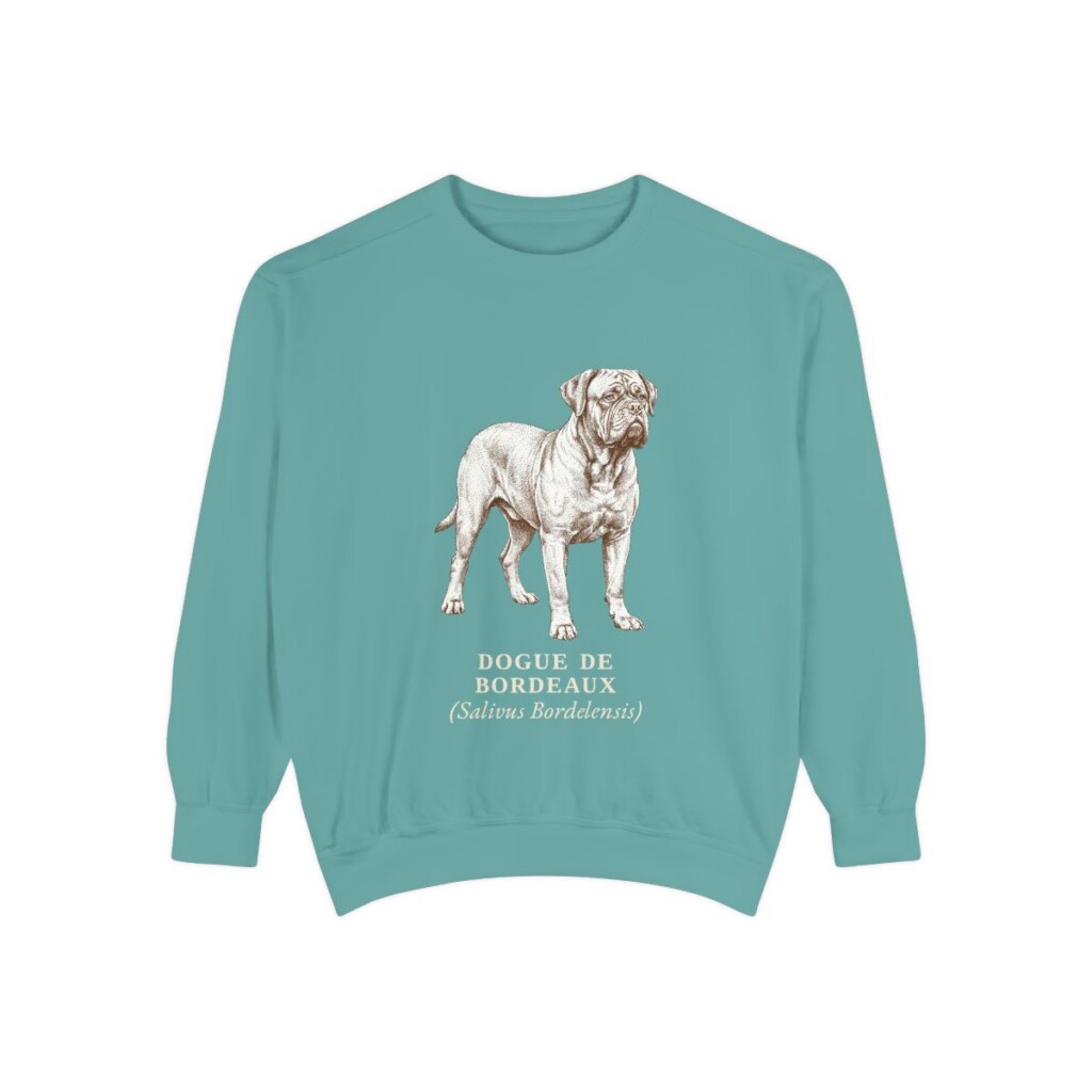 dogue-de-bordeaux-sweatshirt-latin-seafoam Dogue de Bordeaux Latin Sweatshirt, Seafoam, front view