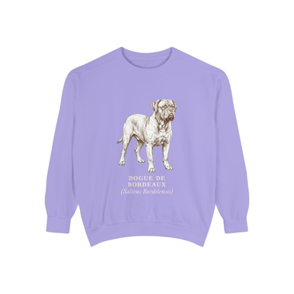 dogue-de-bordeaux-sweatshirt-latin-violet Dogue de Bordeaux Latin Sweatshirt, Violet, front view
