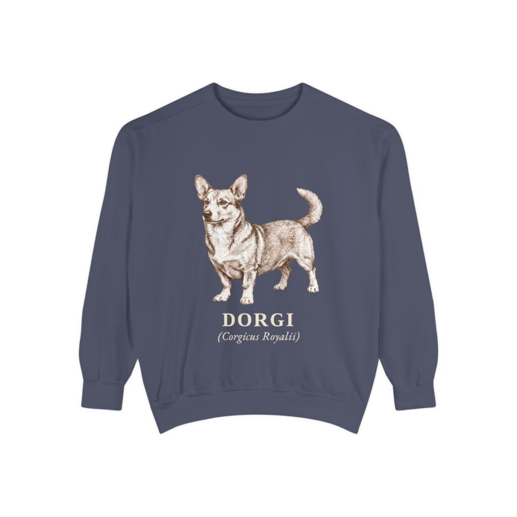 Dorgi Latin Sweatshirt, Denim, front view
