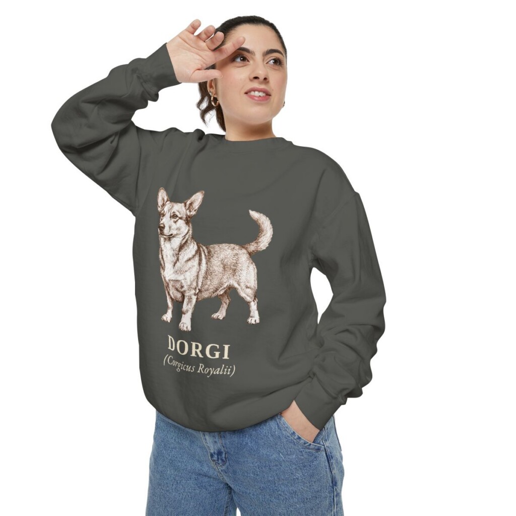 Dorgi Latin Sweatshirt, Pepper, person 2 context