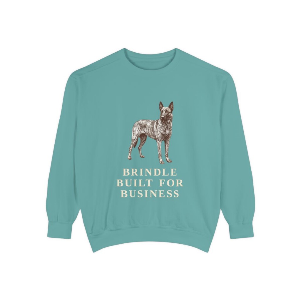 Dutch Shepherd Humor Sweatshirt, Seafoam, front view