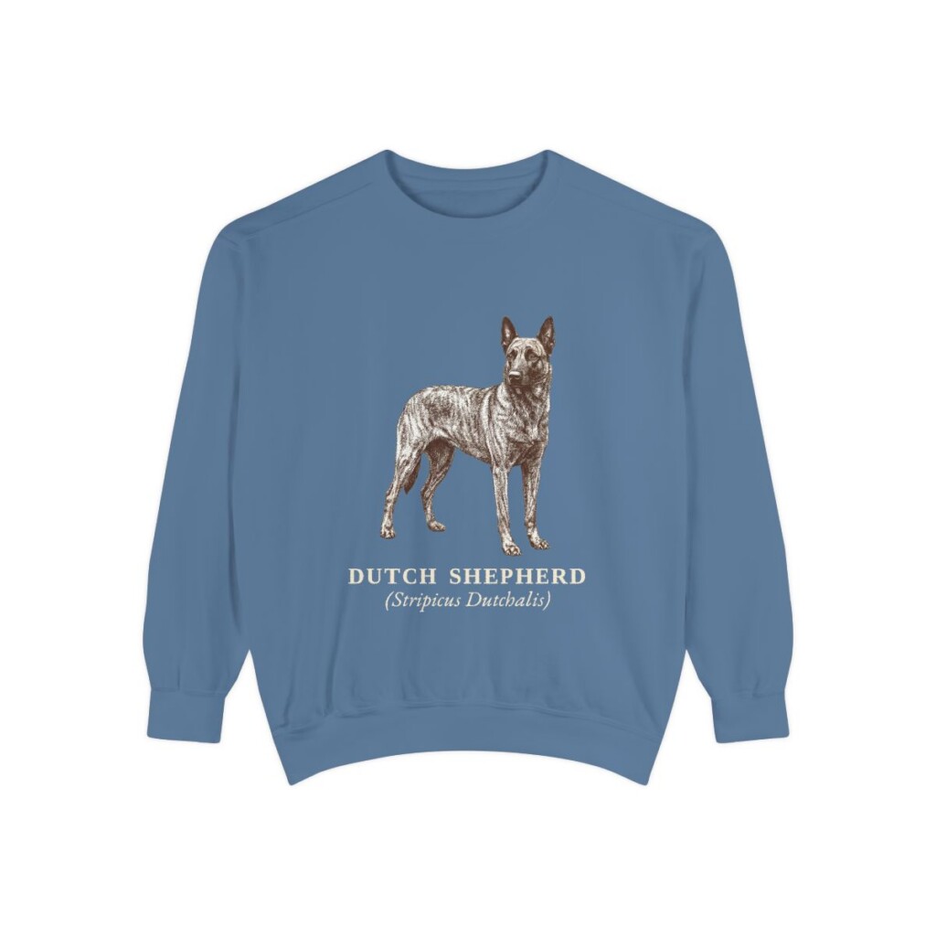 dutch-shepherd-sweatshirt-latin-blue-jean Dutch Shepherd Latin Sweatshirt, Blue Jean, front view