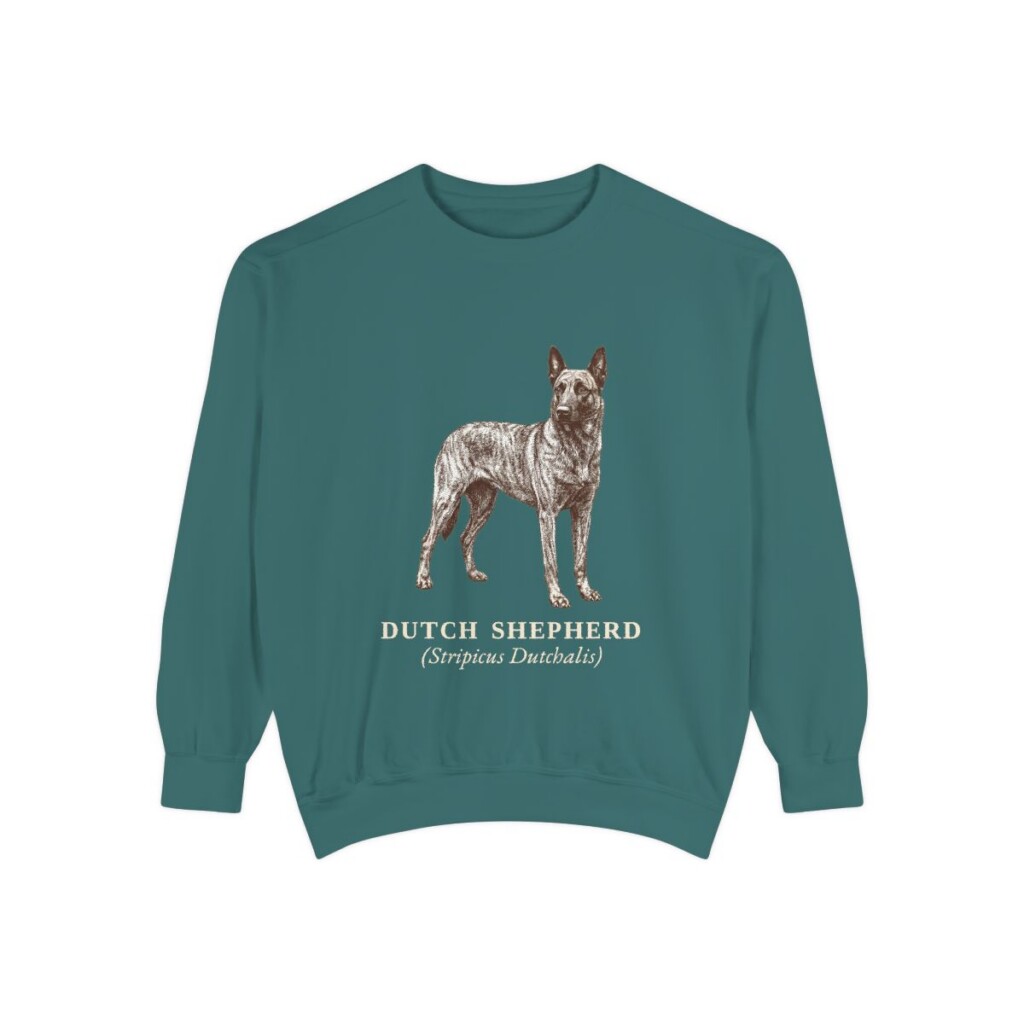 dutch-shepherd-sweatshirt-latin-blue-spruce Dutch Shepherd Latin Sweatshirt, Blue Spruce, front view