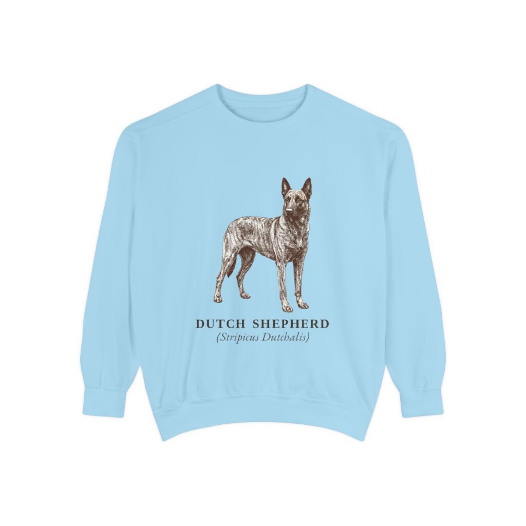 dutch-shepherd-sweatshirt-latin-chambray Dutch Shepherd Latin Sweatshirt, Chambray, front view
