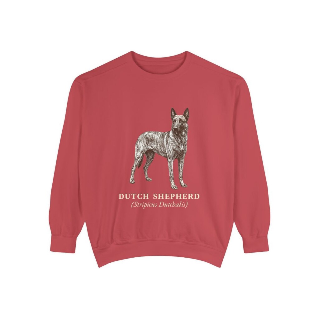 dutch-shepherd-sweatshirt-latin-crimson Dutch Shepherd Latin Sweatshirt, Crimson, front view