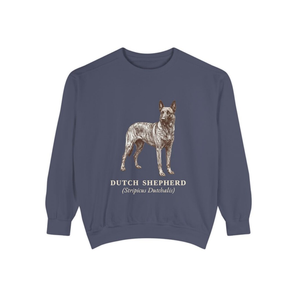 dutch-shepherd-sweatshirt-latin-denim Dutch Shepherd Latin Sweatshirt, Denim, front view