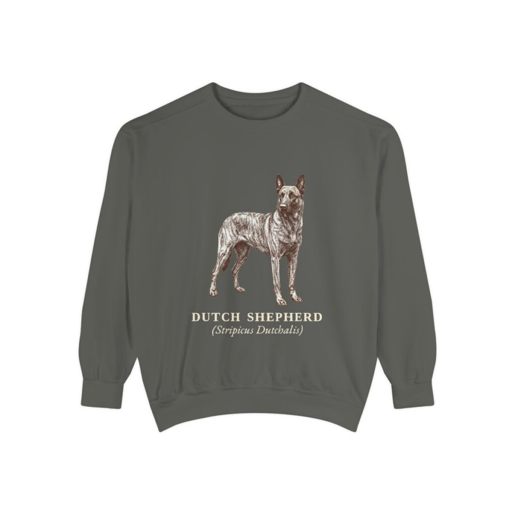 dutch-shepherd-sweatshirt-latin-pepper Dutch Shepherd Latin Sweatshirt, Pepper, front view
