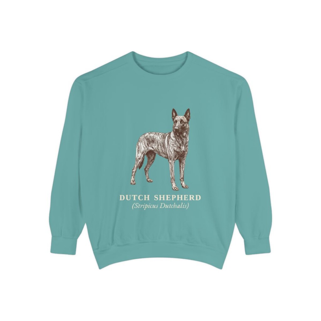 dutch-shepherd-sweatshirt-latin-seafoam Dutch Shepherd Latin Sweatshirt, Seafoam, front view