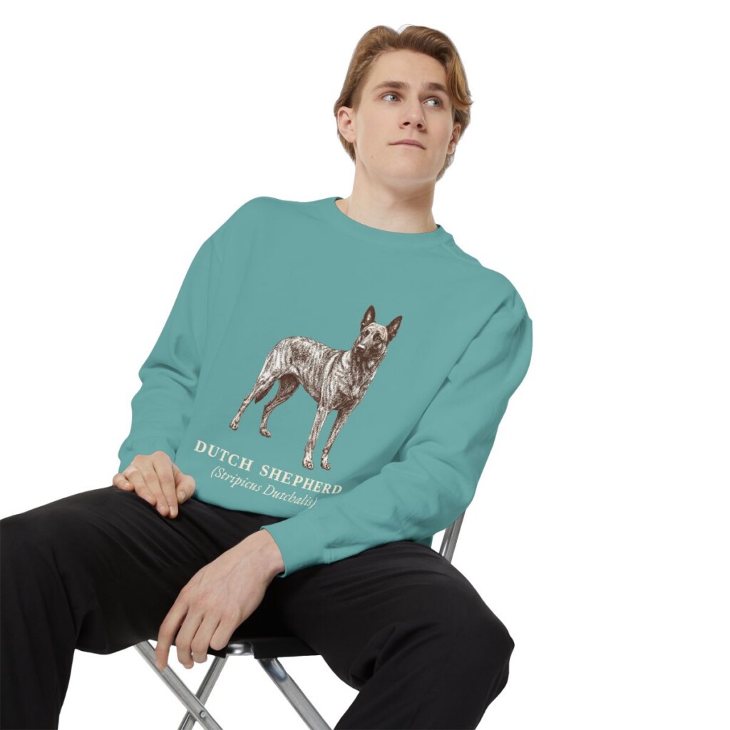 dutch-shepherd-sweatshirt-latin-seafoam-person-1-context Dutch Shepherd Latin Sweatshirt, Seafoam, person 1 context