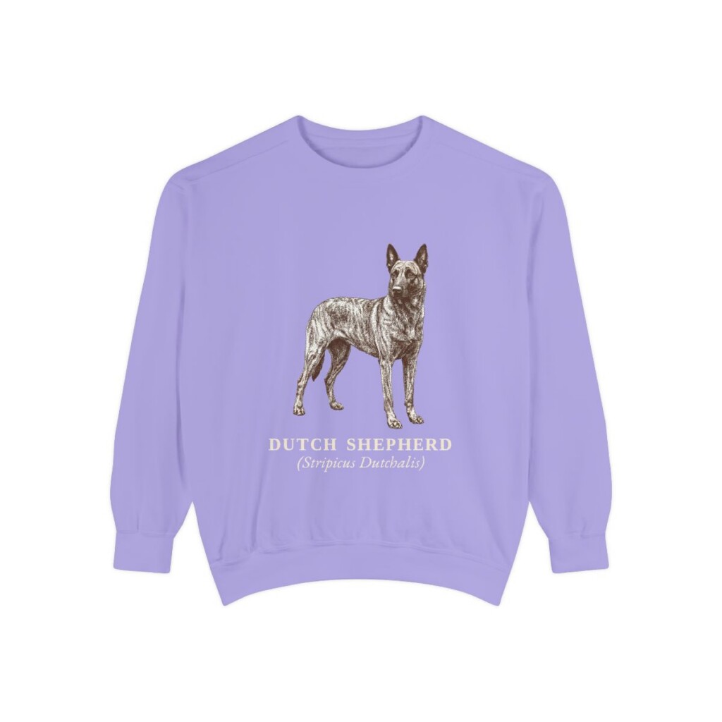 dutch-shepherd-sweatshirt-latin-violet Dutch Shepherd Latin Sweatshirt, Violet, front view