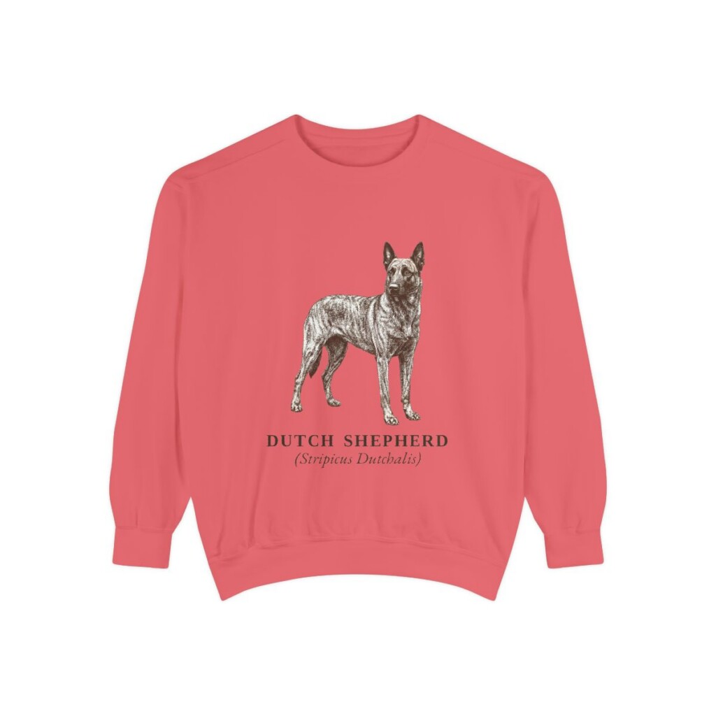 dutch-shepherd-sweatshirt-latin-watermelon Dutch Shepherd Latin Sweatshirt, Watermelon, front view