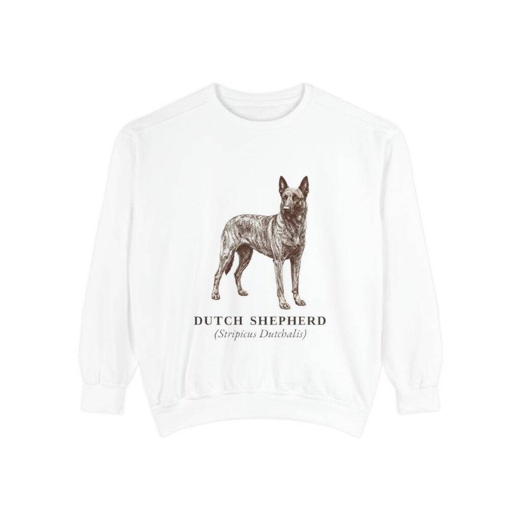 dutch-shepherd-sweatshirt-latin-white Dutch Shepherd Latin Sweatshirt, White, front view
