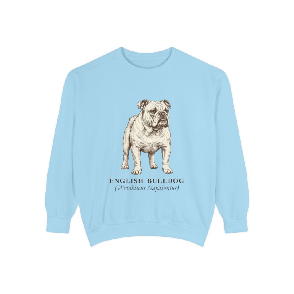 english-bulldog-sweatshirt-latin-chambray English Bulldog Latin Sweatshirt, Chambray, front view