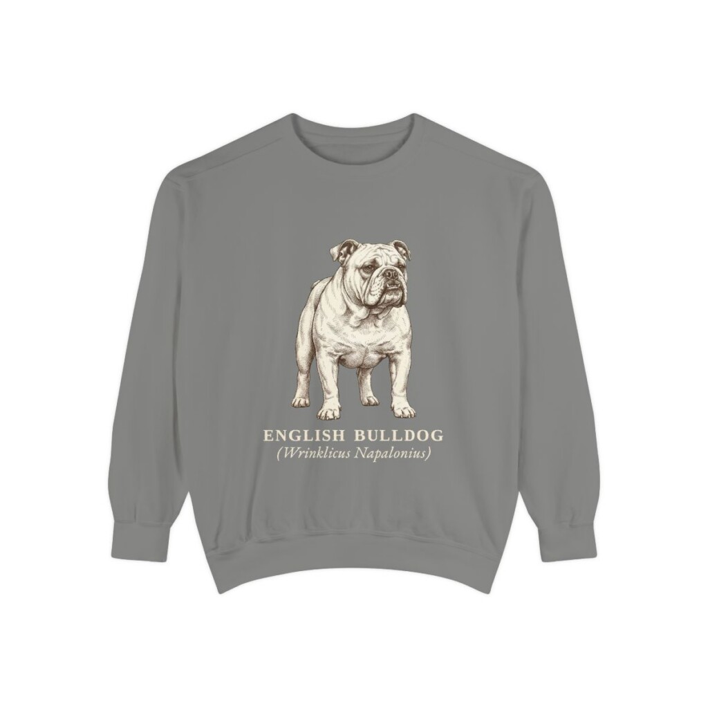 english-bulldog-sweatshirt-latin-grey English Bulldog Latin Sweatshirt, Grey, front view
