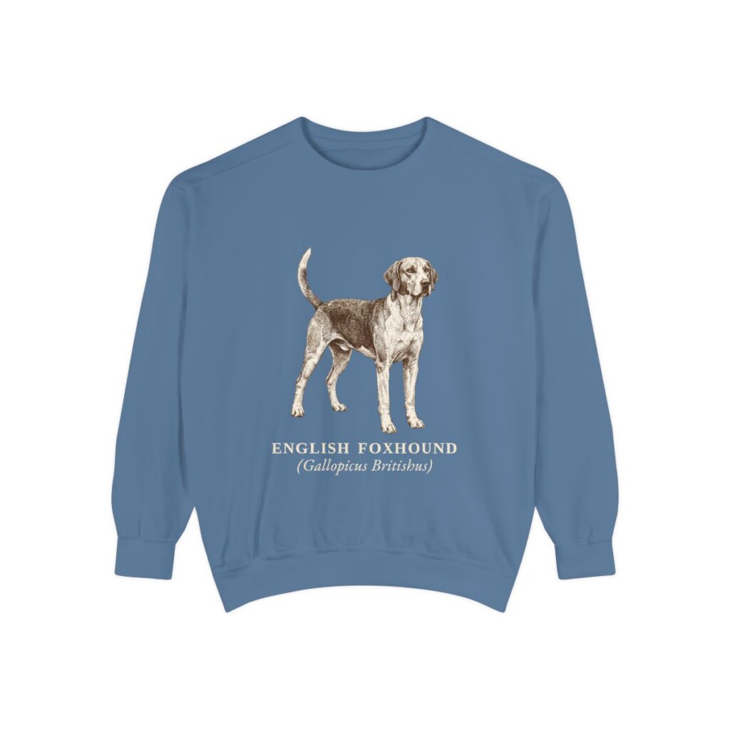 English Foxhound Latin Sweatshirt, Blue Jean, front view