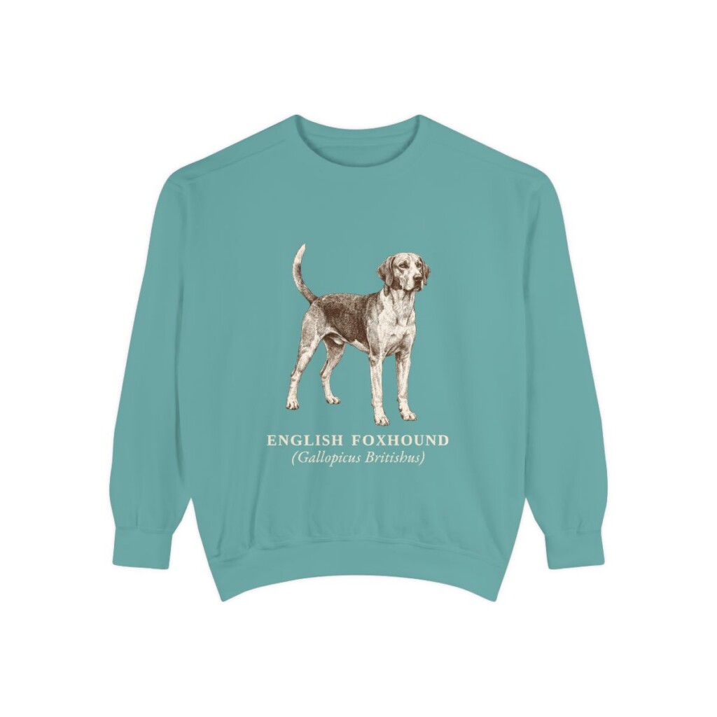 English Foxhound Latin Sweatshirt, Seafoam, front view