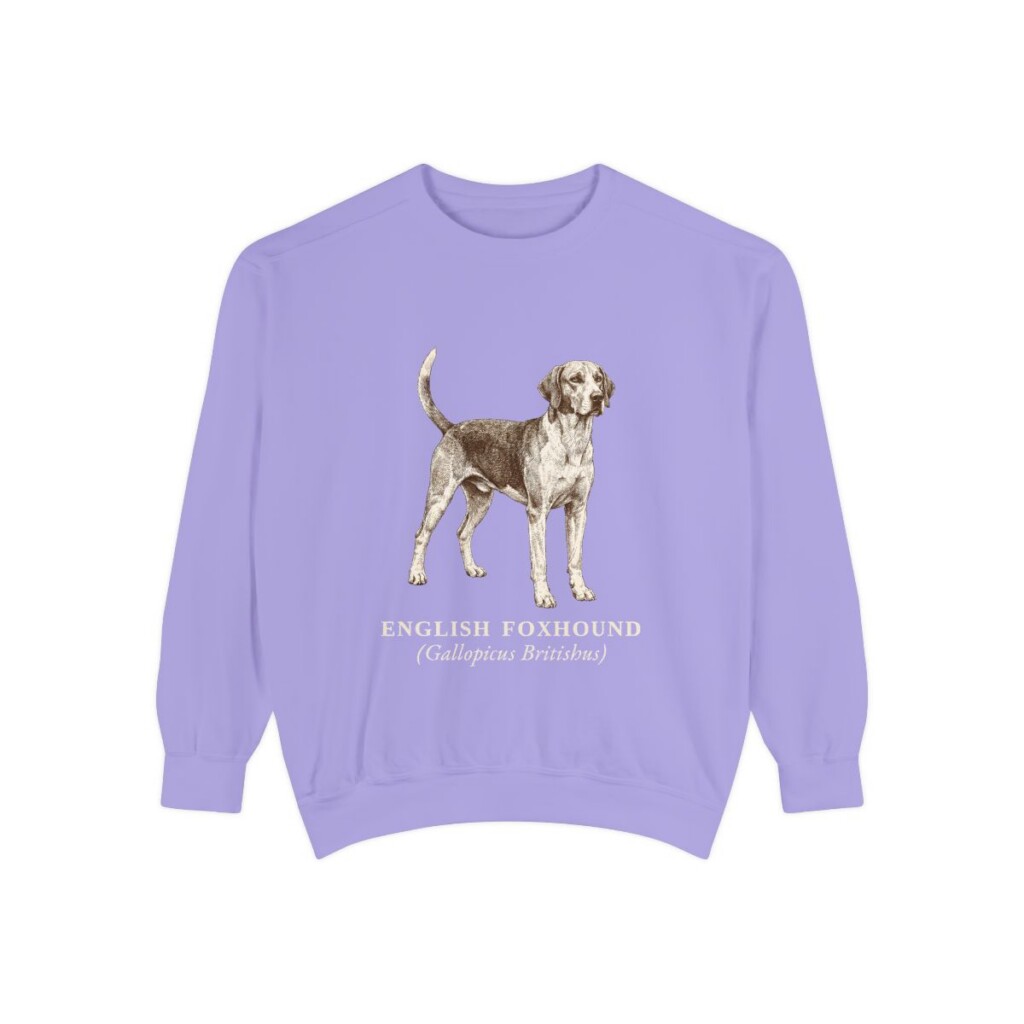 English Foxhound Latin Sweatshirt, Violet, front view