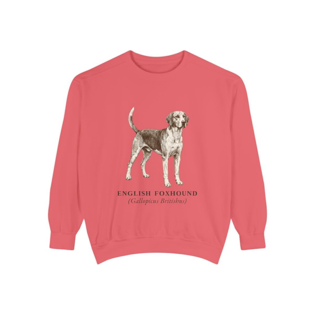 English Foxhound Latin Sweatshirt, Watermelon, front view