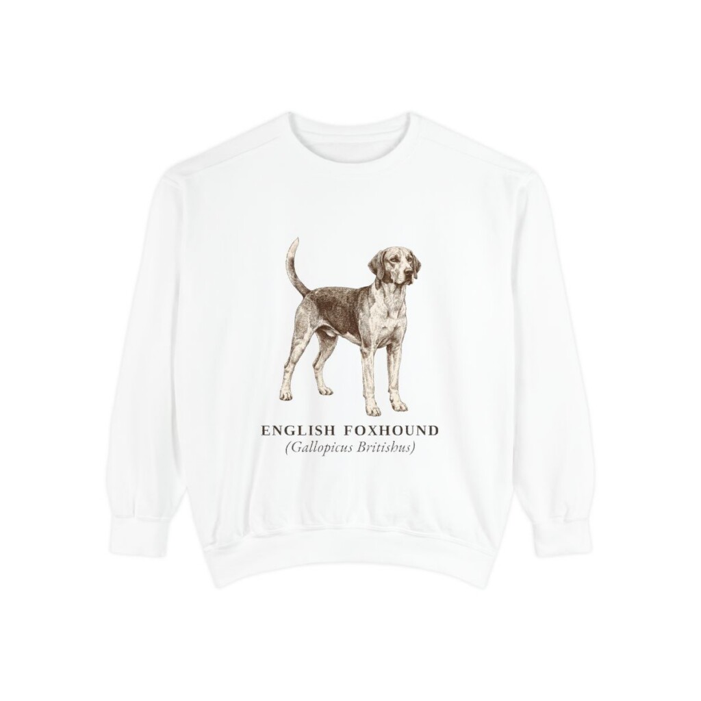 English Foxhound Latin Sweatshirt, White, front view