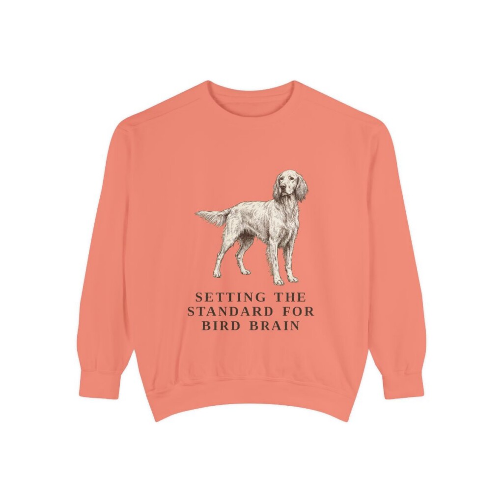 English Setter Humor Sweatshirt, Terracotta, front view