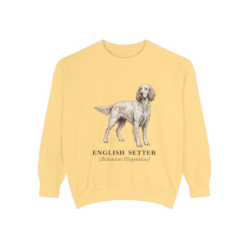 English Setter Latin Sweatshirt, Butter, front view
