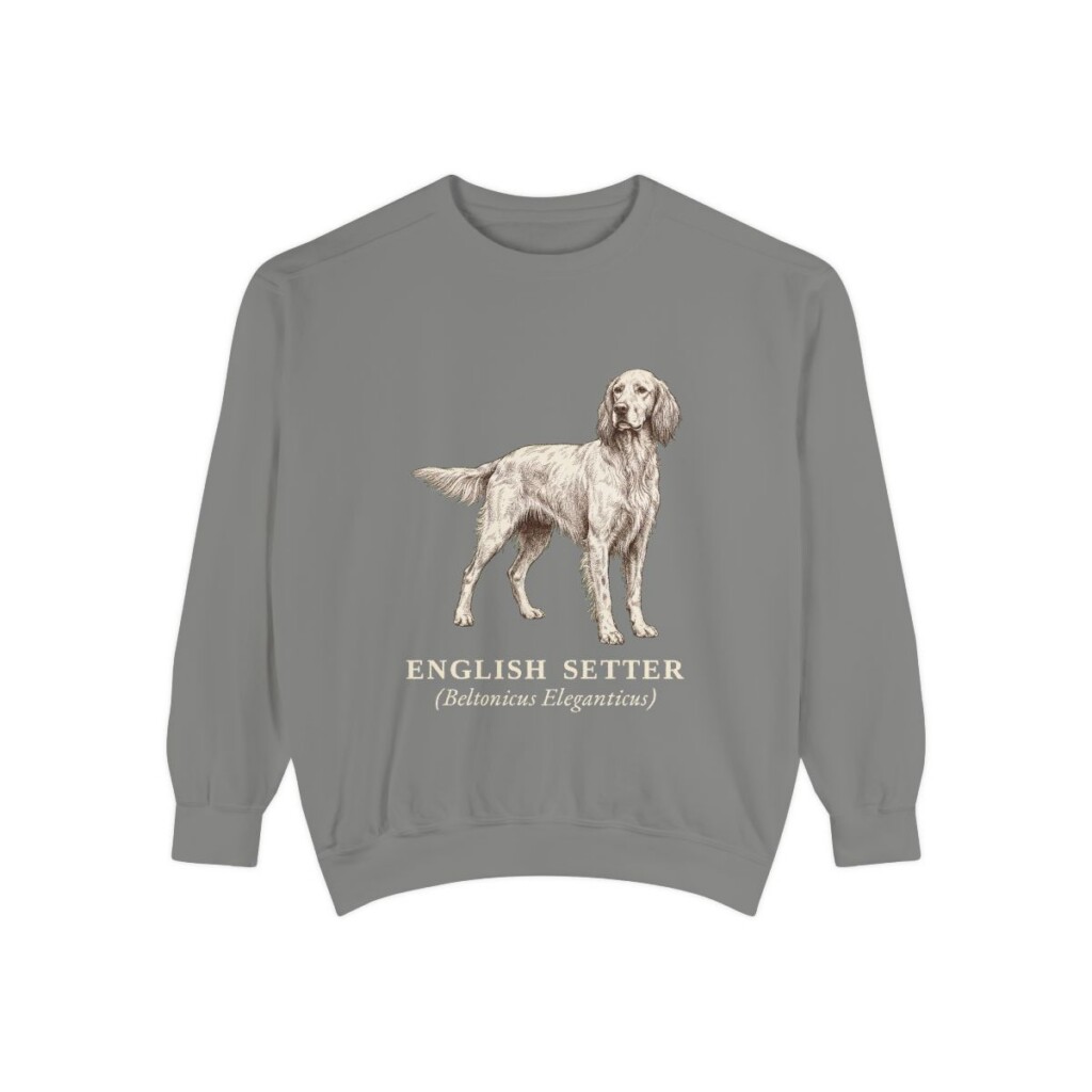 English Setter Latin Sweatshirt, Grey, front view