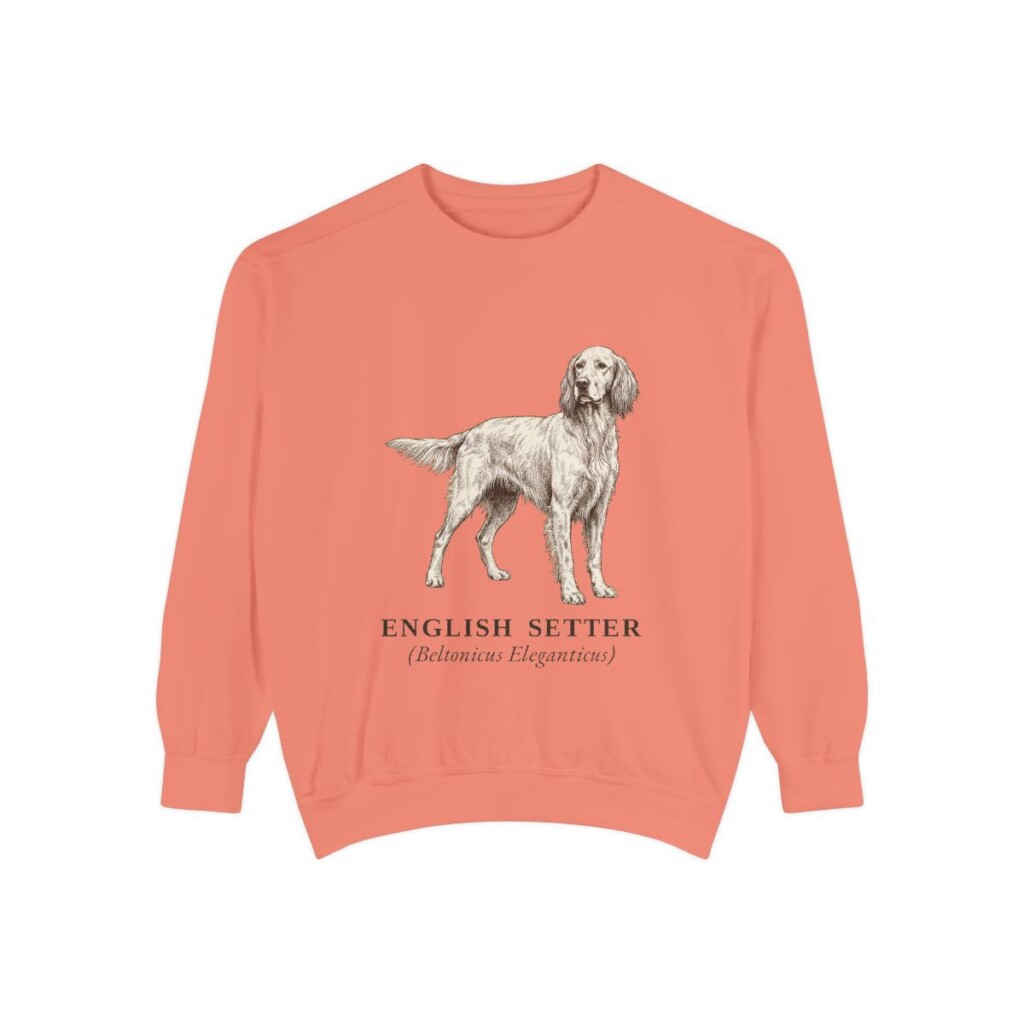 English Setter Latin Sweatshirt, Terracotta, front view
