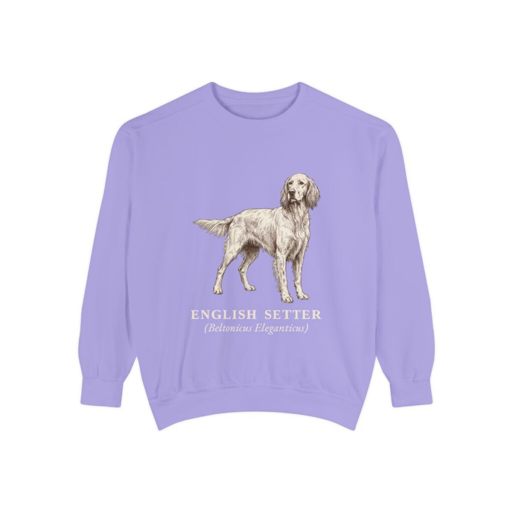 English Setter Latin Sweatshirt, Violet, front view