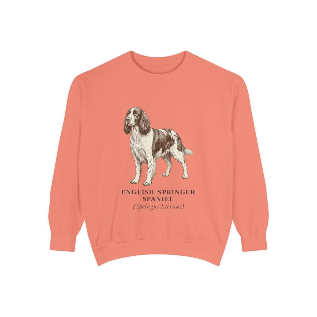 English Springer Spaniel Latin Sweatshirt, Terracotta, front view